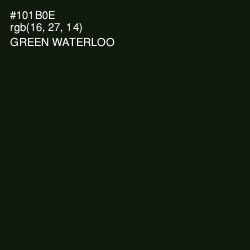#101B0E - Green Waterloo Color Image